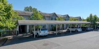 Springbrook Reserve Gallery 12