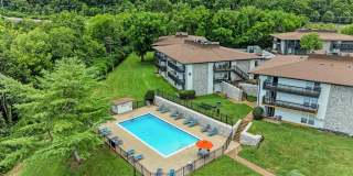 The Nelson Gallery 31