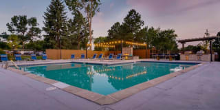 Elm at Panorama Gallery 19