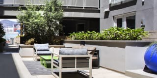 The Brand Gallery 42