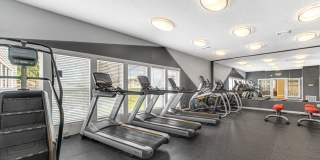 TGM Autumn Woods Gallery 17