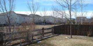 Amazing Home in NE Fort Collins Gallery 11