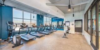 The Baxly Gallery 20