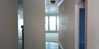 14230 Real Delight Gallery 3