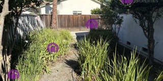 1257 Cougar Lane Gallery 22