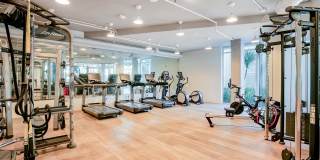 Windsor at Dogpatch Gallery 1