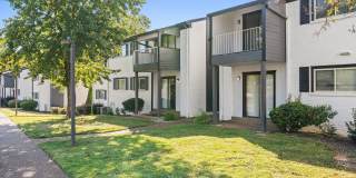 Avana Collins Creek Gallery 37