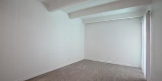 Los Altos Towers Gallery 19