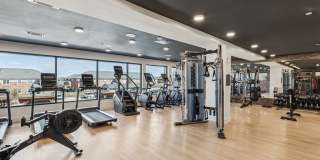 Wildwood Luxury Urban Homes Gallery 56