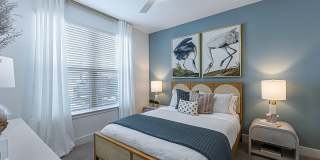 Elevate Navarre Elevate Navarre Gallery 18