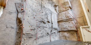 The Ashley Gallery 8