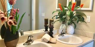 8342 Bernwood Cove Loop Gallery 5