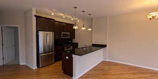 1431 S Halsted St Apt 3B Gallery 19