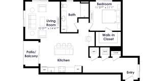 Edition on Oberlin Gallery 34