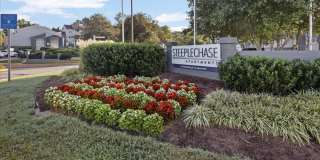 Steeplechase Apartments Gallery 21