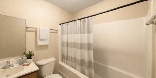 1167 Bradley Street Gallery 7