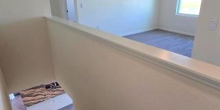 31375 PENNY SURF LOOP Gallery 14