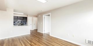 Lumen Gallery 14