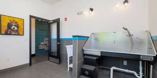 The Laurel Gallery 43