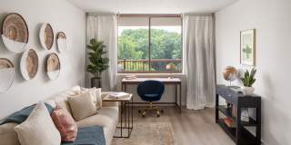 The Magnolia Gallery 28