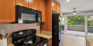 Bay Tree Gallery 46
