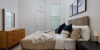 Starling Gallery 17