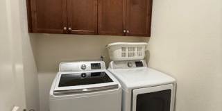 Available Now! Gallery 20