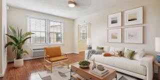 Connecticut Plaza Gallery 4