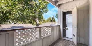 Alderwood Park Gallery 9