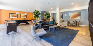 Pacific Place Gallery 3