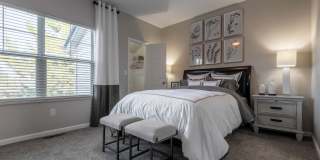 The Windsor Gallery 23