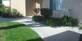 Gorgeous 2 story 2 bedroom 2 bath Townhome Gallery 1