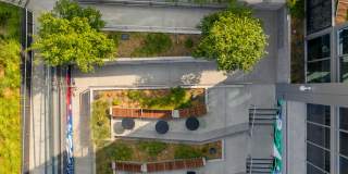 The Merian Gallery 64