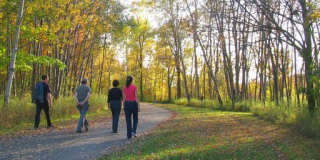 Willows on France Gallery 19