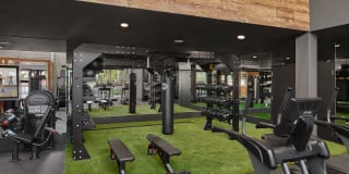 AVE Tampa Riverwalk Gallery 12