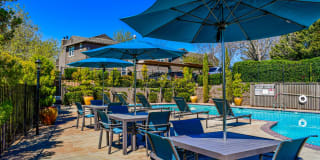 Lake Forest Gallery 36