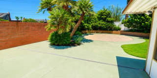Large 6 Bedroom - Huge Yard - Students Welcome Gallery 20