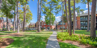 Greenwood Forest Gallery 7