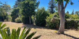 East Vallejo Beauty! Gallery 34