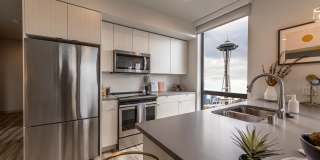 Center Steps Center Steps Gallery 1