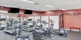 Pala Mesa Gallery 18