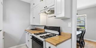 2 Bedroom Duplex in Dundee Gallery 12