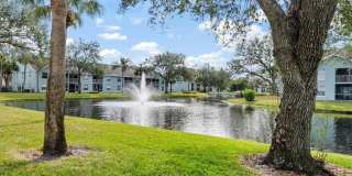 149 Wading Bird Cir Gallery 1