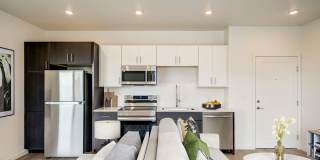 Vine at Panorama Gallery 13