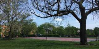 36 S Ashland Avenue Gallery 25