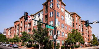 AMLI Park Avenue Gallery 31