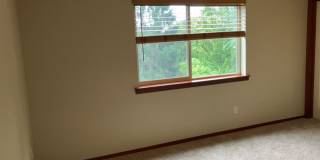 TWO WEEKS FREE rent, +$1,000 Visa Card Move-In Bonus Gallery 11