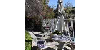 Rye 13506 Gallery 13
