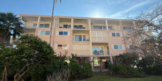 Beatifully updated Beach condo FULLY FURNISHED ANNUAL RENTAL 2/2 Gallery 1