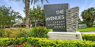 The Avenues Gallery 33